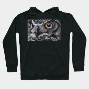 Knight Owl Hoodie